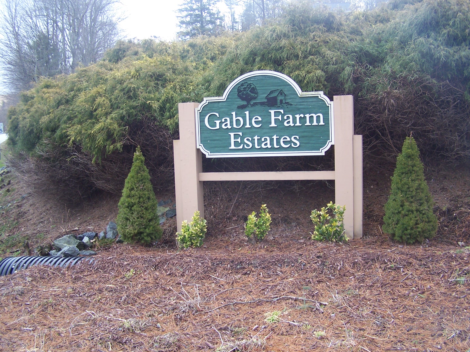 Martin Real Estate Company Boone, NC 28607